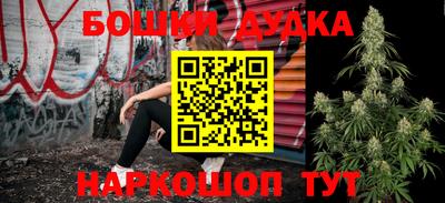 индика Можайск